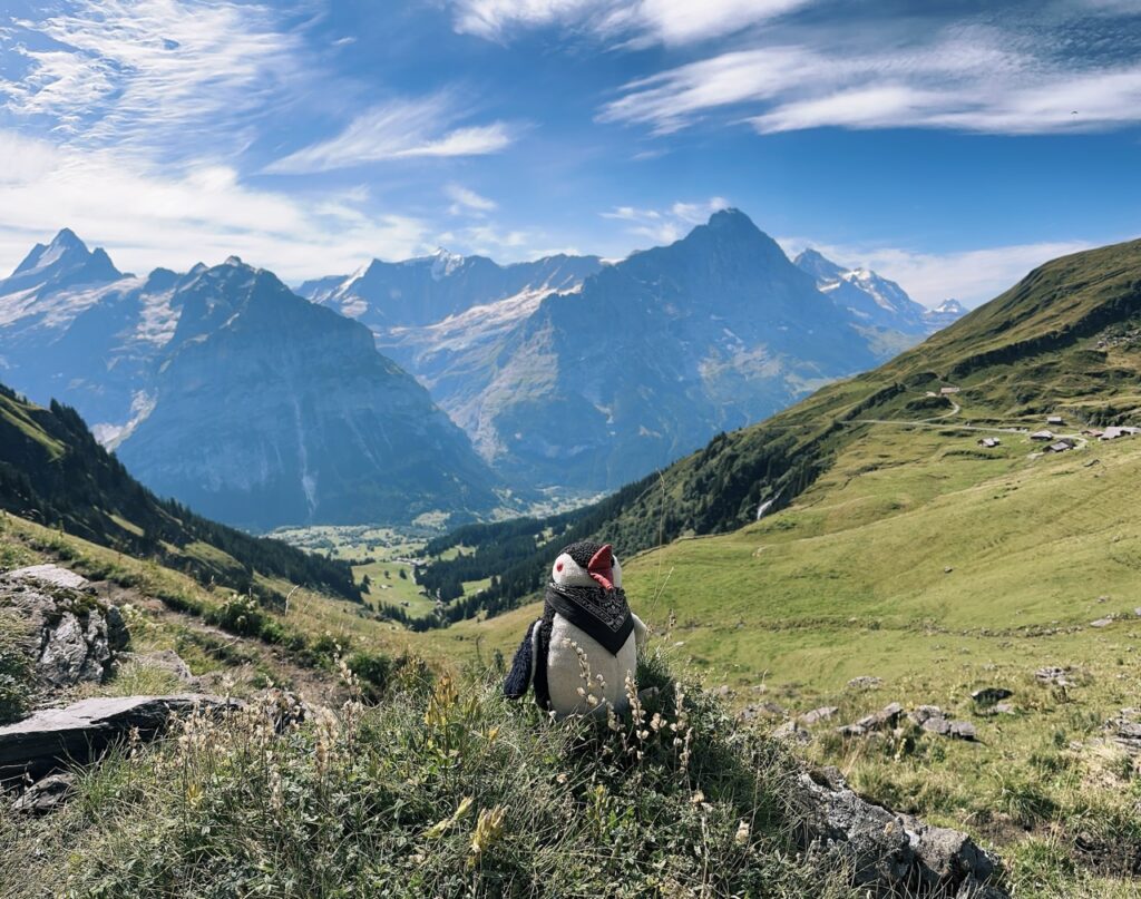 First Switzerland hike