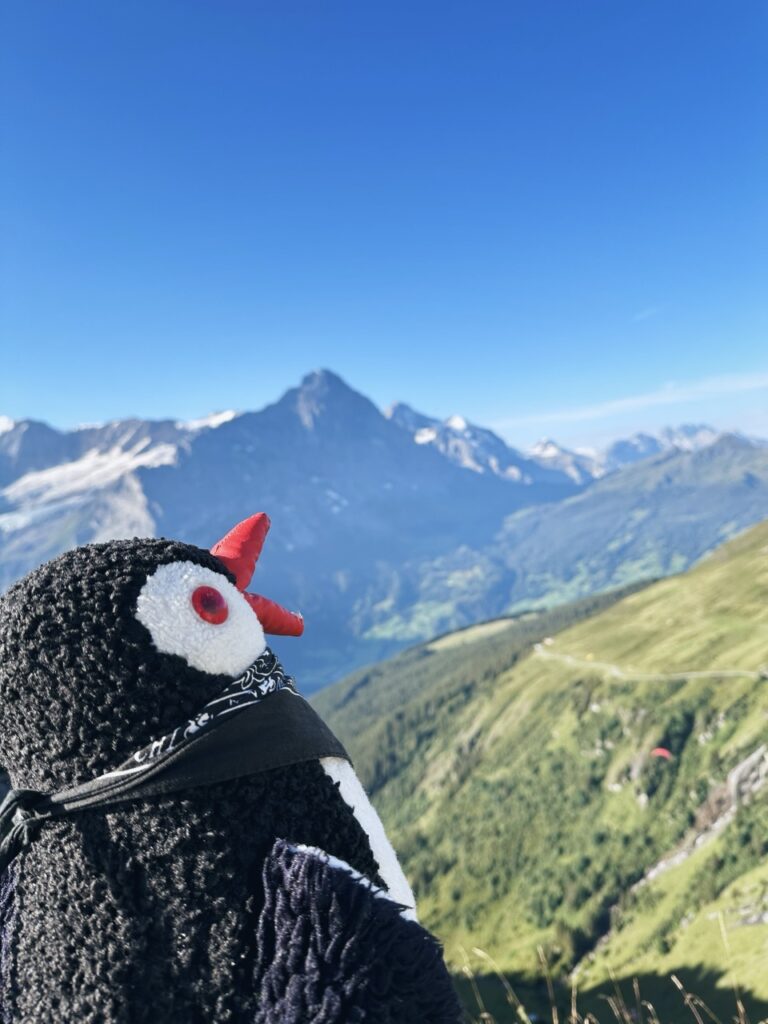 First Switzerland hike