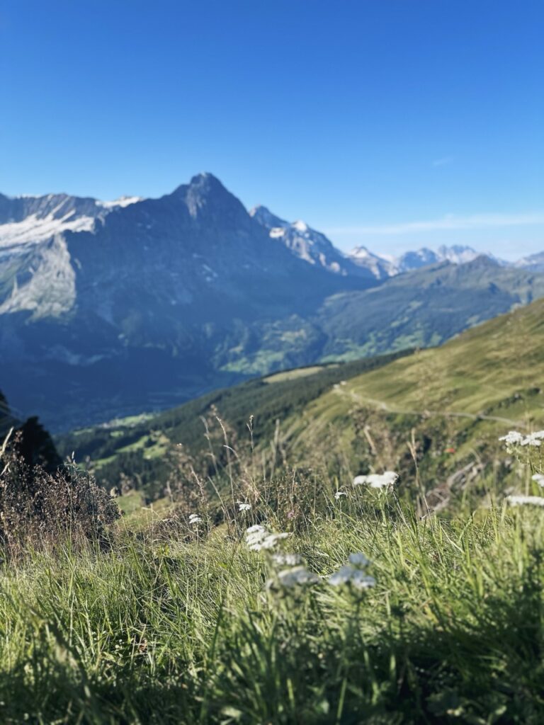 First Switzerland hike