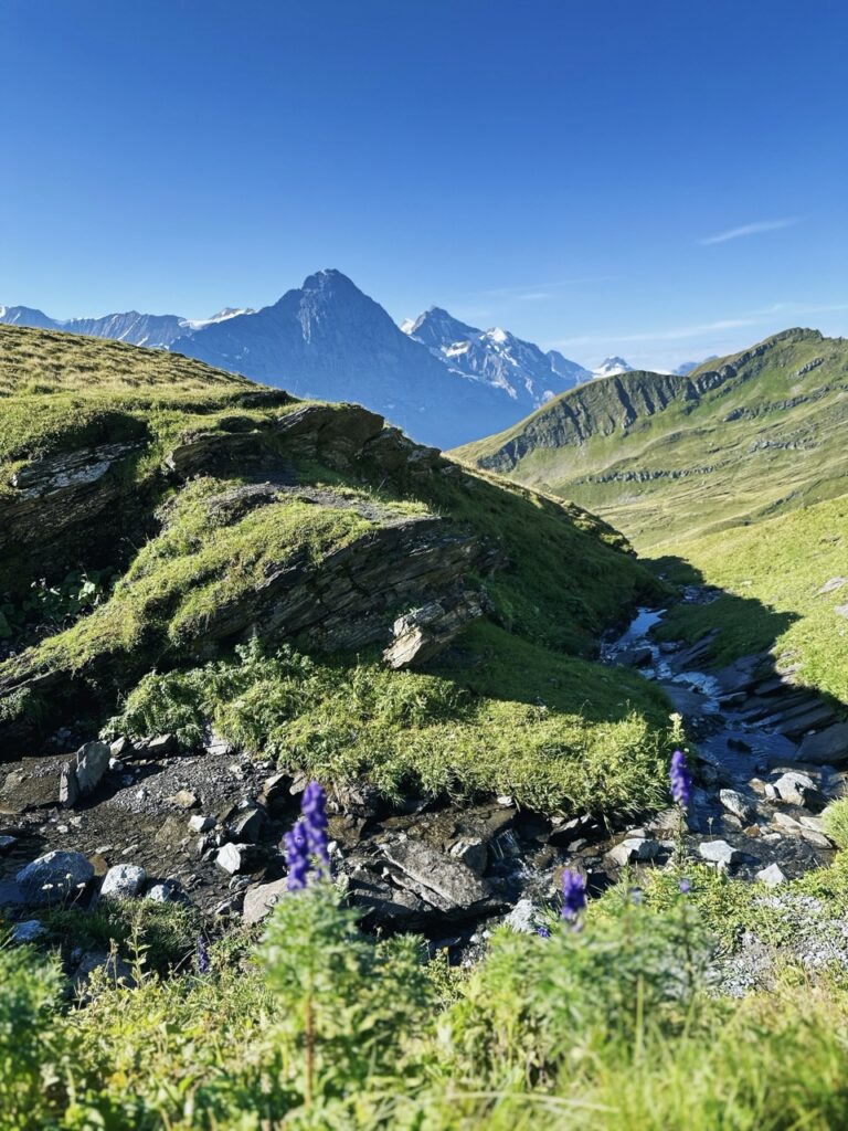 First Switzerland hike