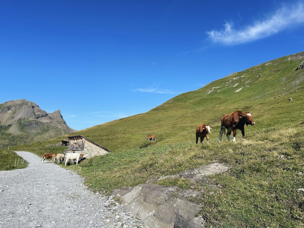 First Switzerland hike