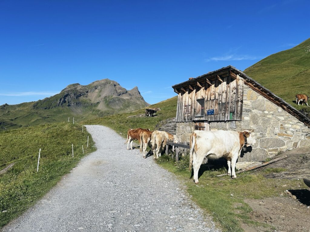 First Switzerland hike