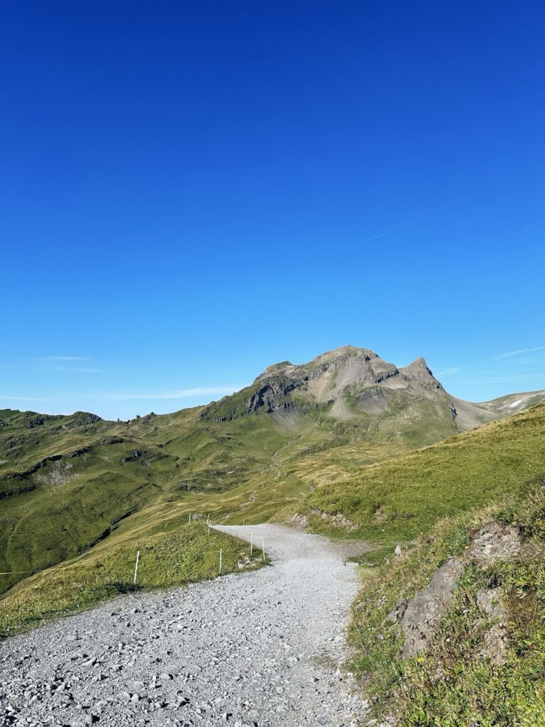 First Switzerland hike