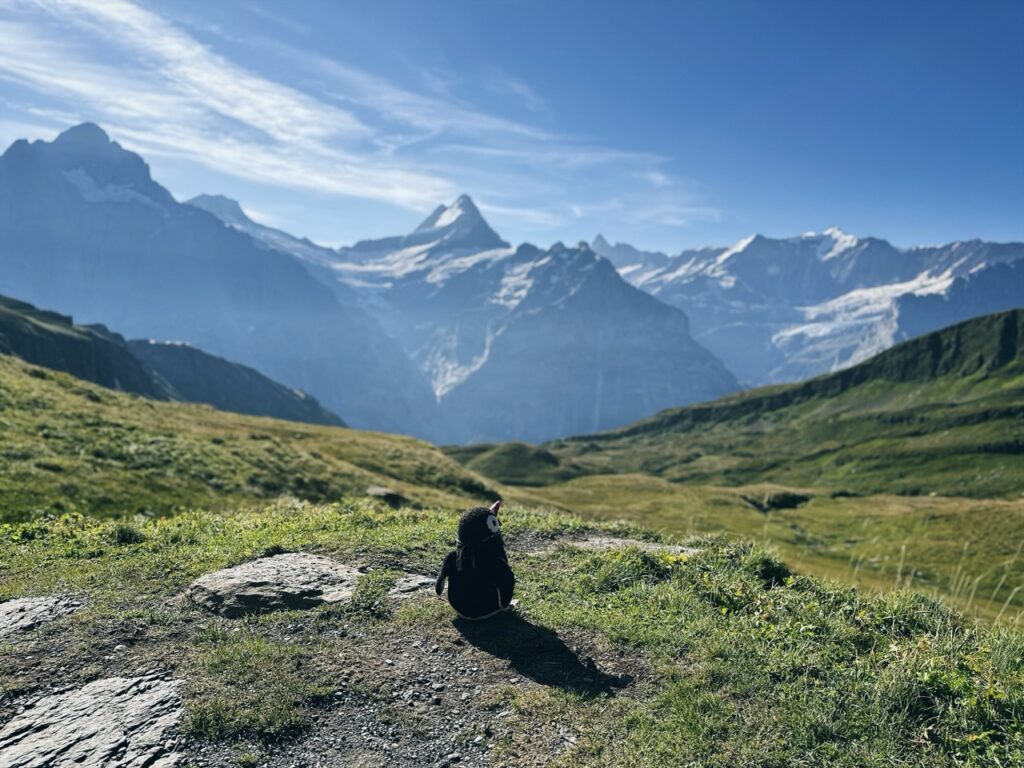 First Switzerland hike