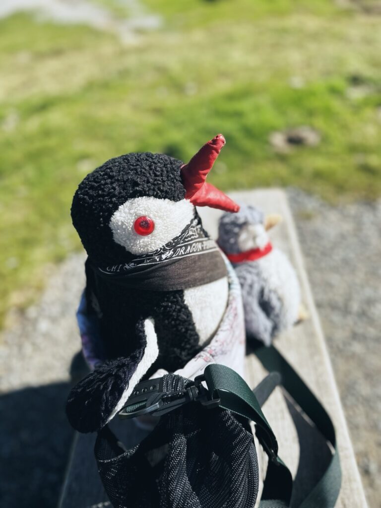 First Switzerland hike