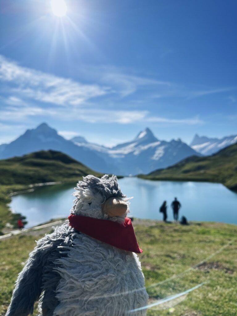 First Switzerland hike