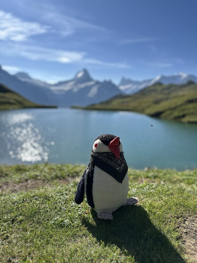First Switzerland hike
