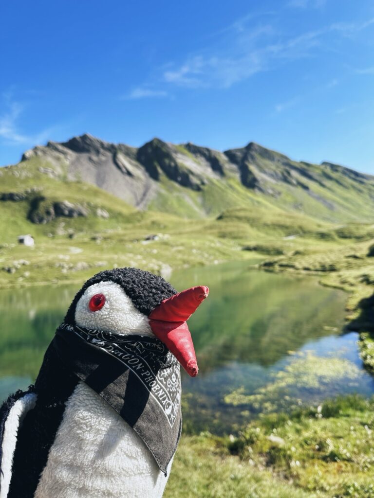 First Switzerland hike