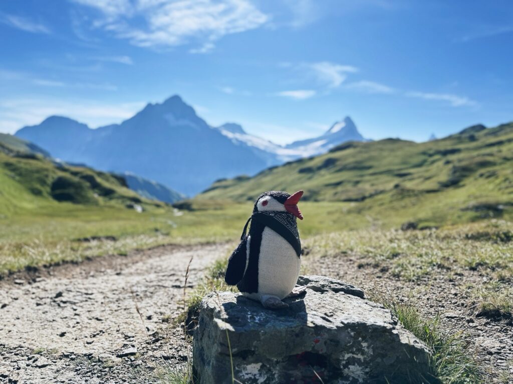 First Switzerland hike