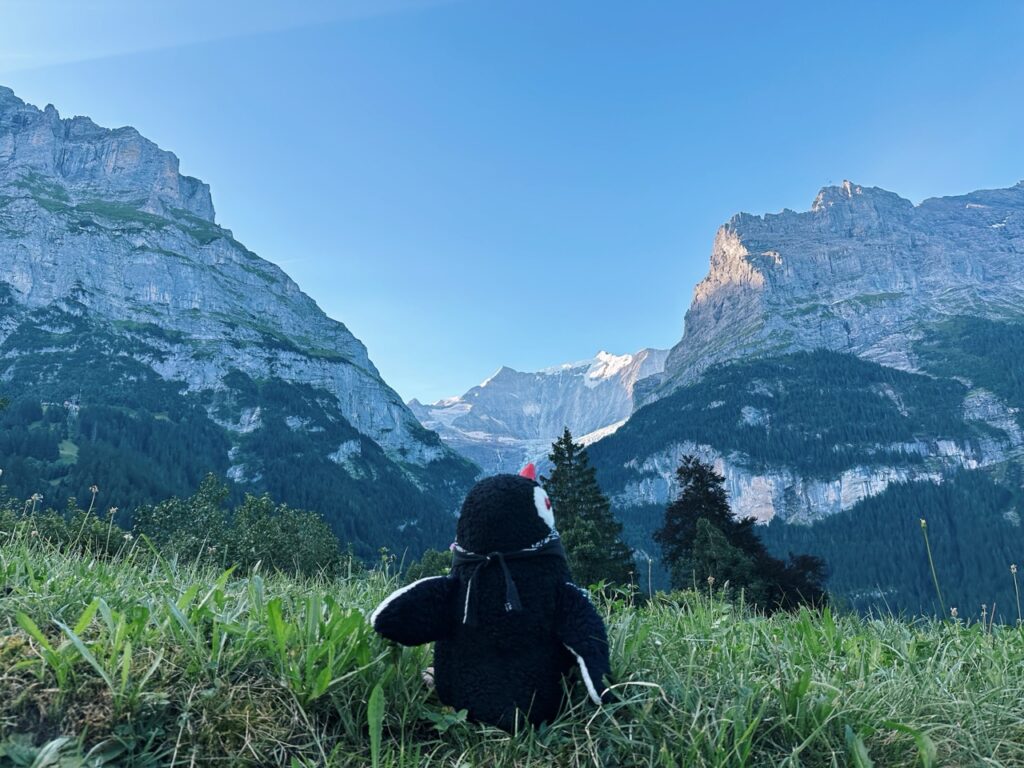 First Switzerland hike