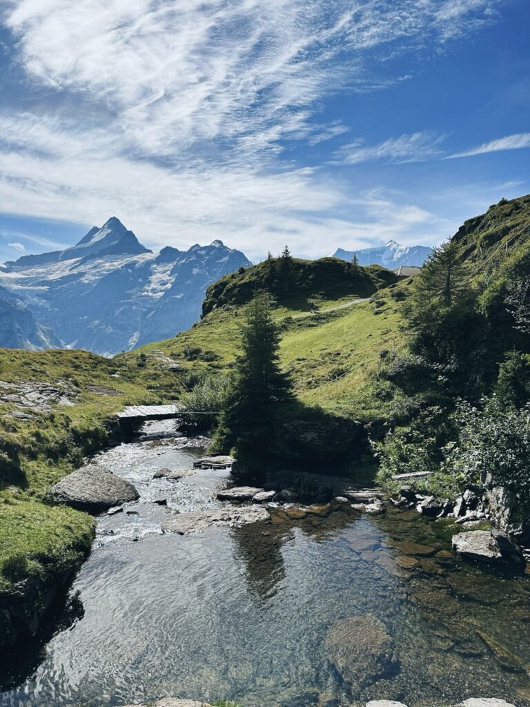 First Switzerland hike