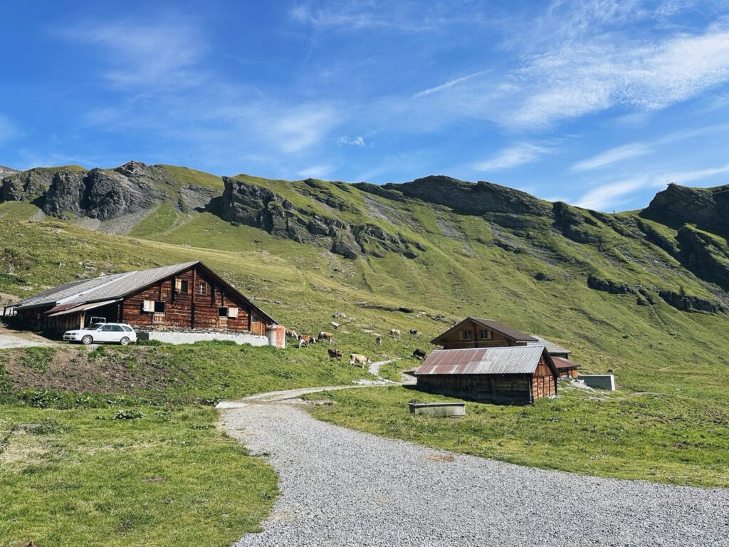 First Switzerland hike
