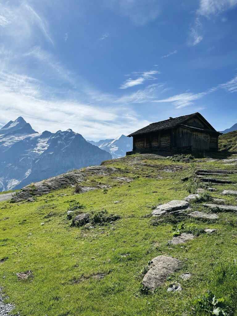 First Switzerland hike