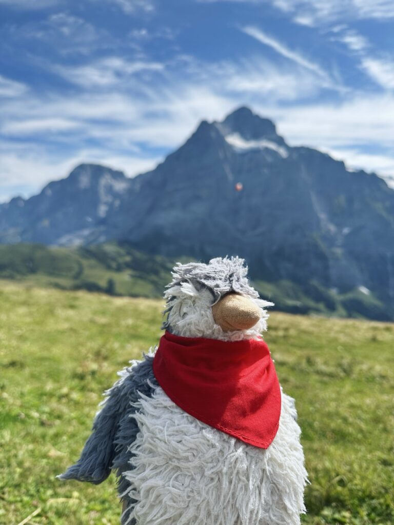 First Switzerland hike