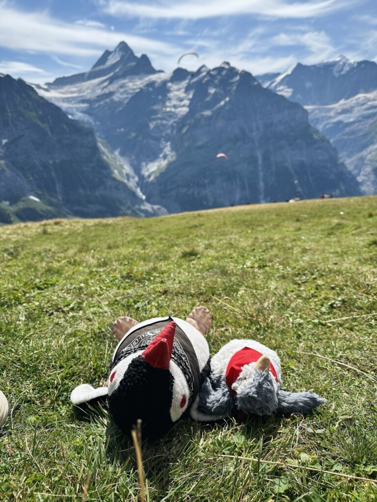 First Switzerland hike