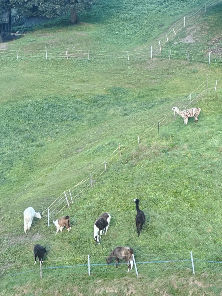 First Switzerland hike
