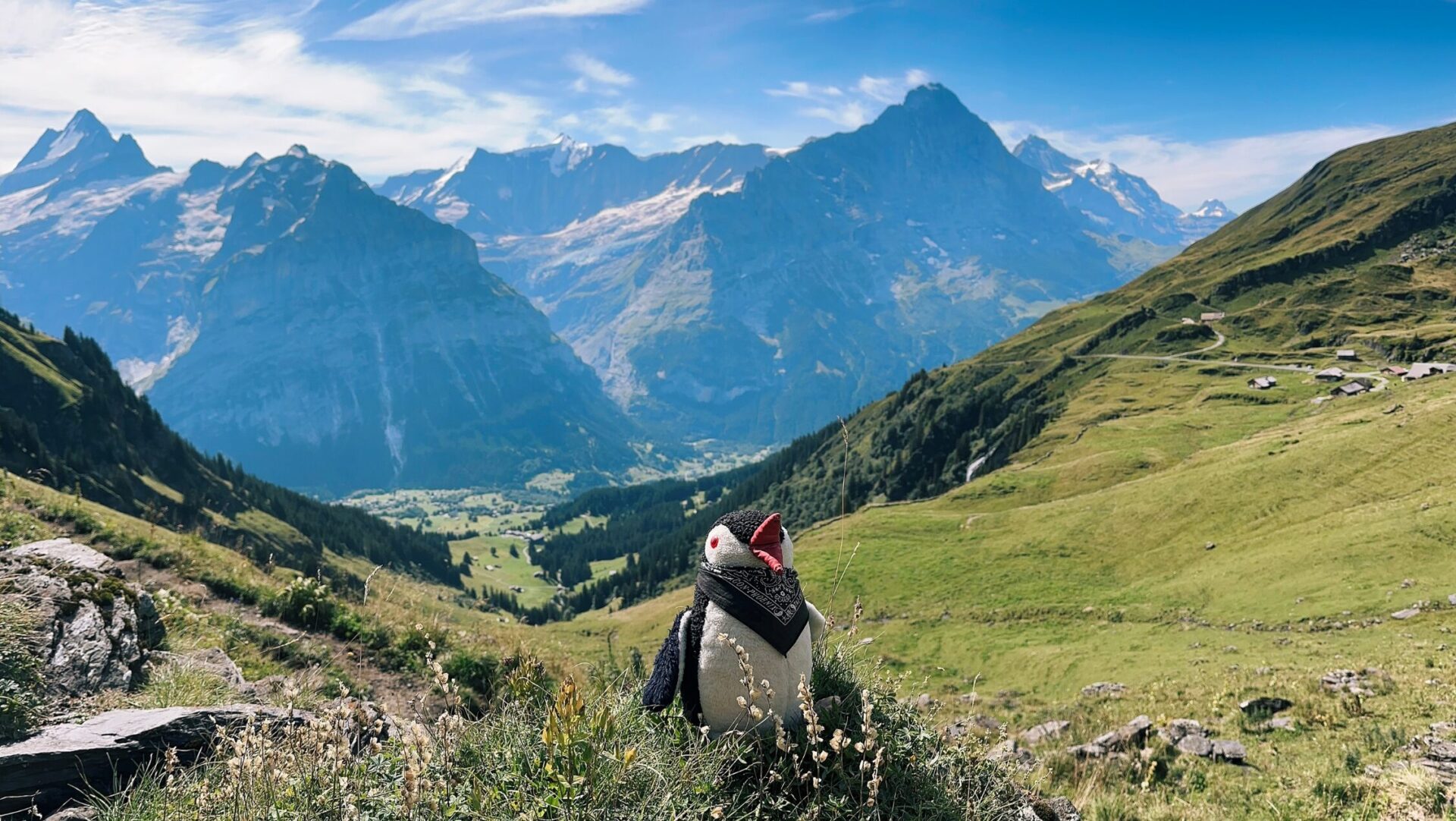 First Switzerland Hiking featured