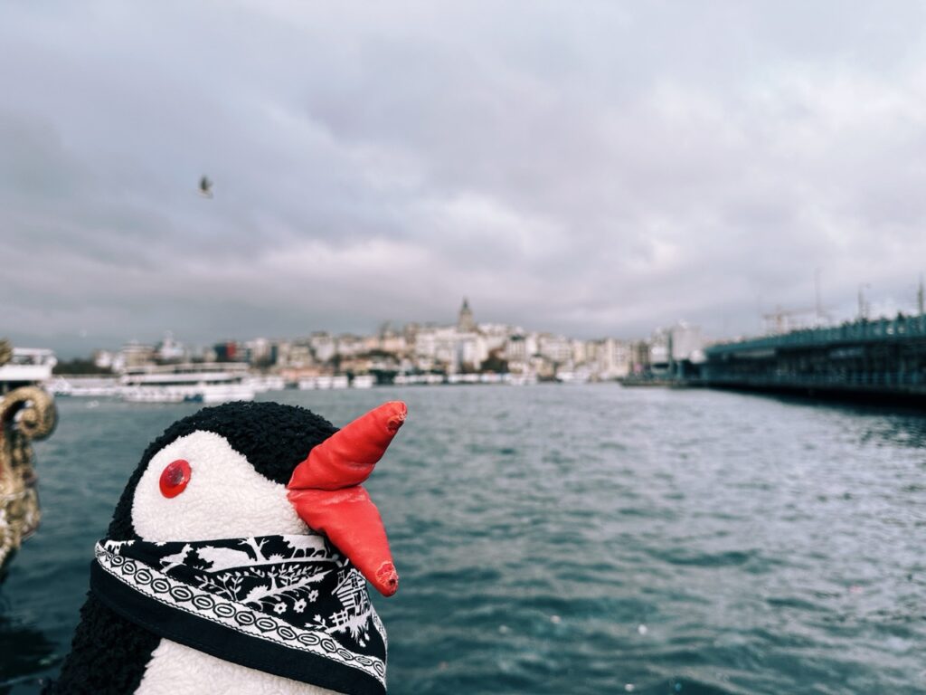 First time in Istanbul