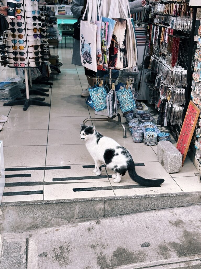 First time in Istanbul