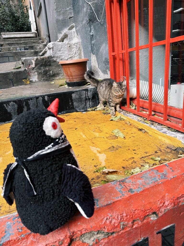 First time in Istanbul