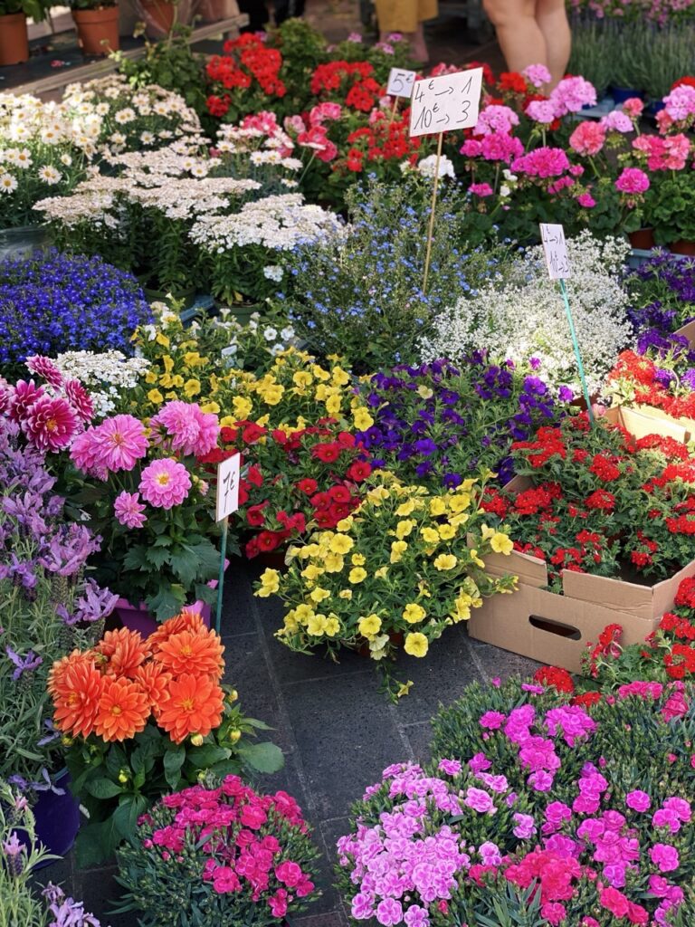 Flower Market nice france