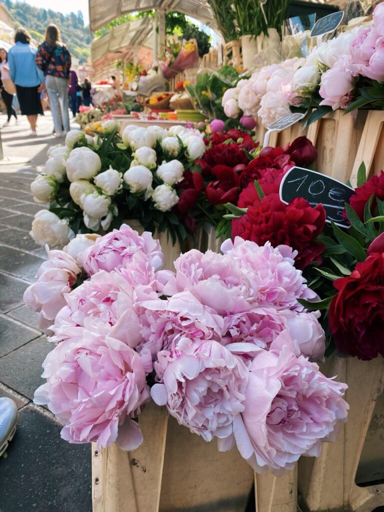 Flower Market nice france