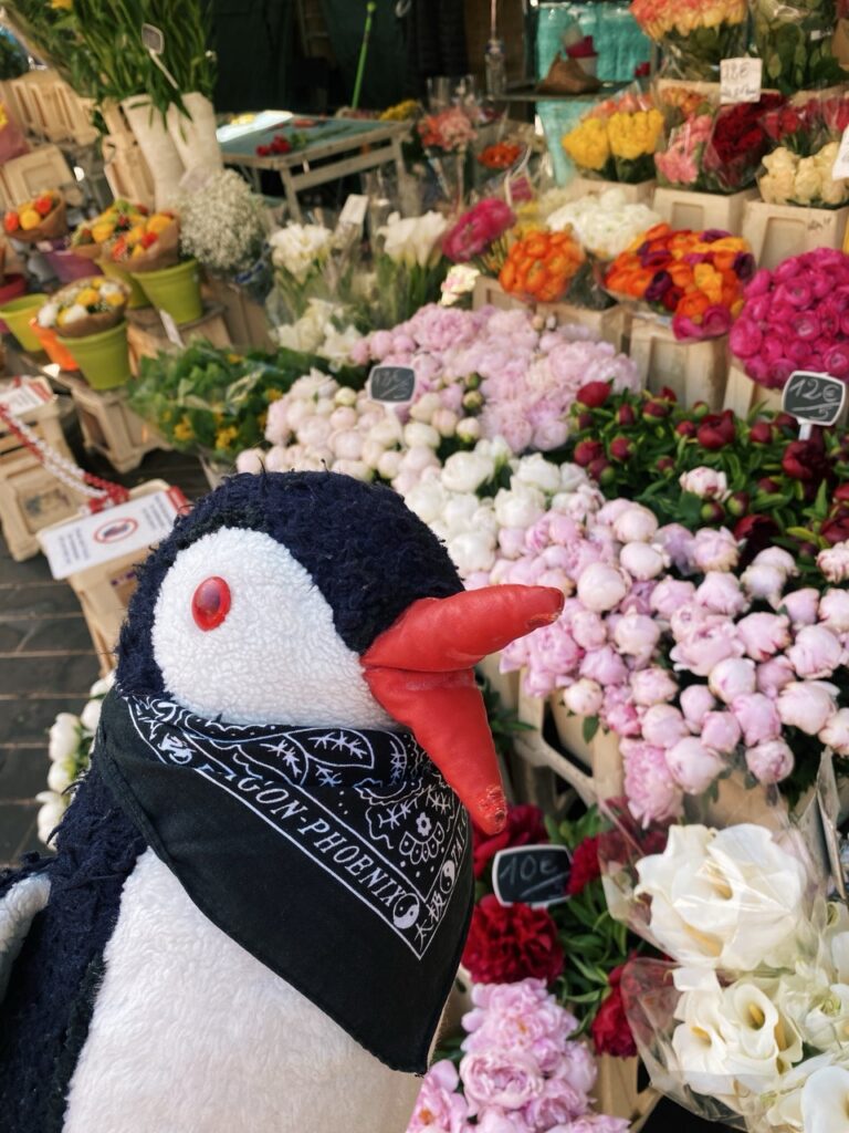 Flower Market nice france