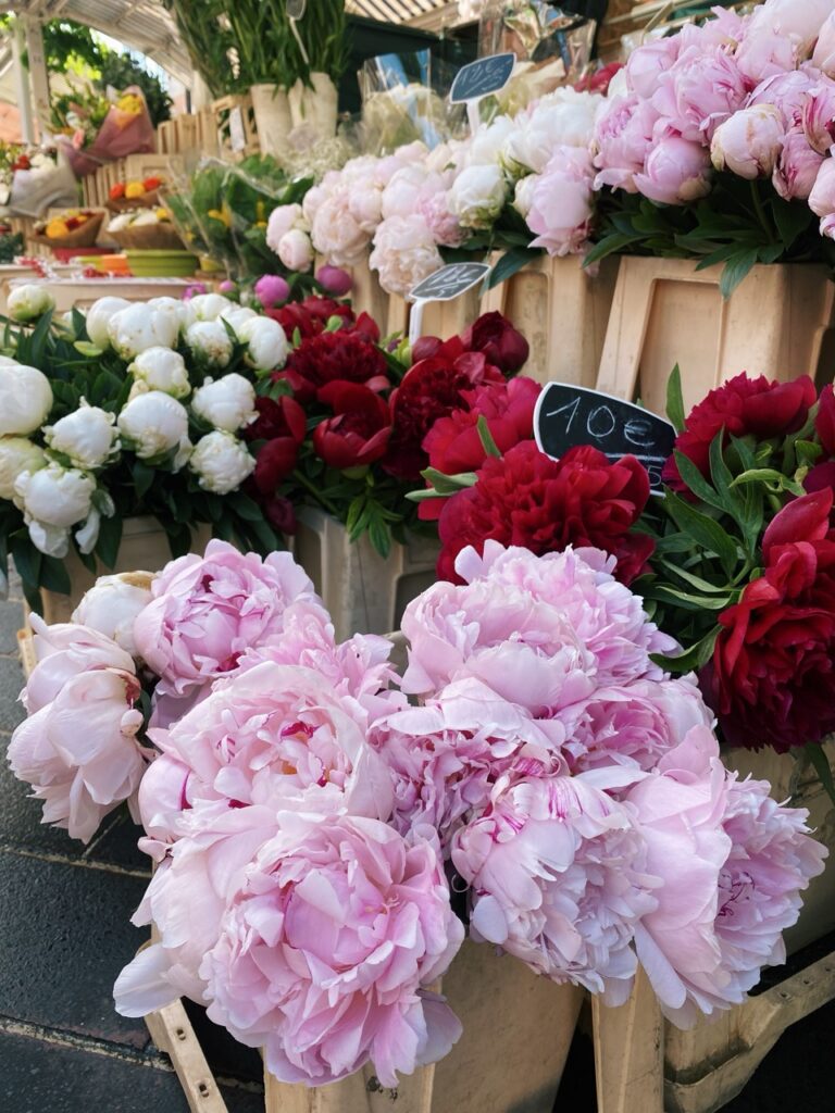 Flower Market nice france