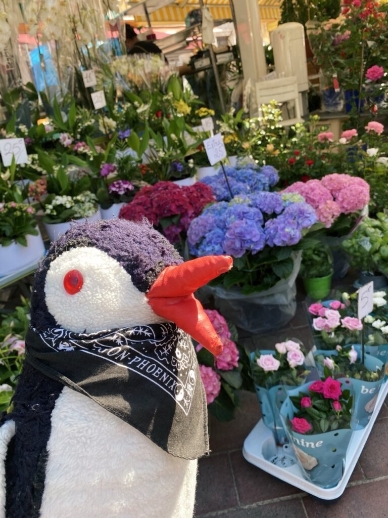 Flower Market nice france