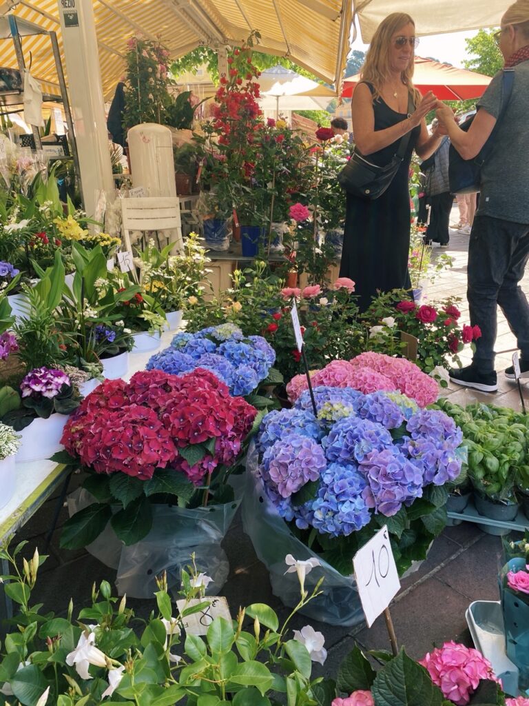 Flower Market nice france