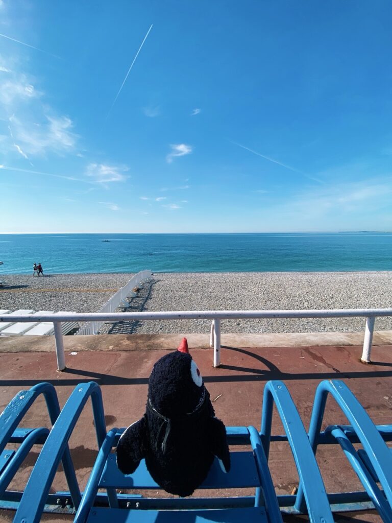 Free Things in Nice France