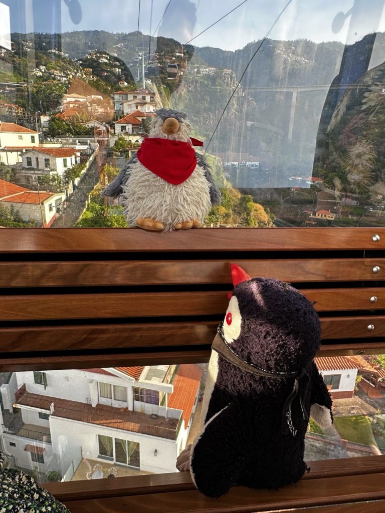 Funchal Cable Car