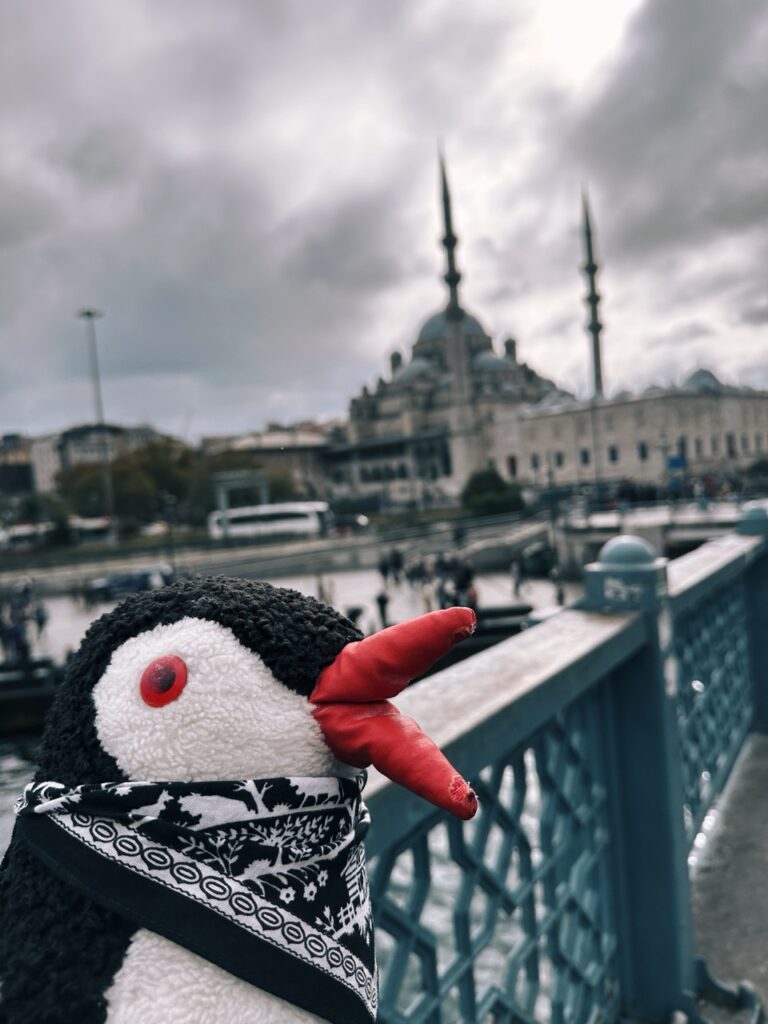 Galata bridge Istanbul