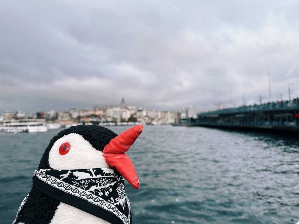 Galata bridge Istanbul