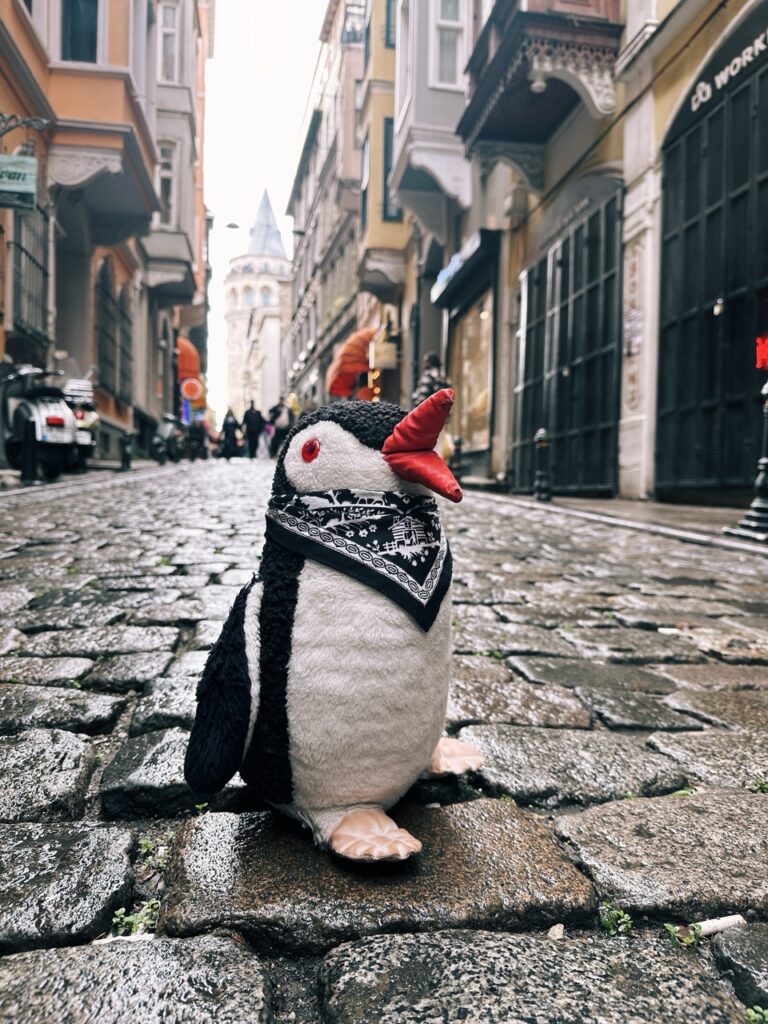 Galata tower Istanbul