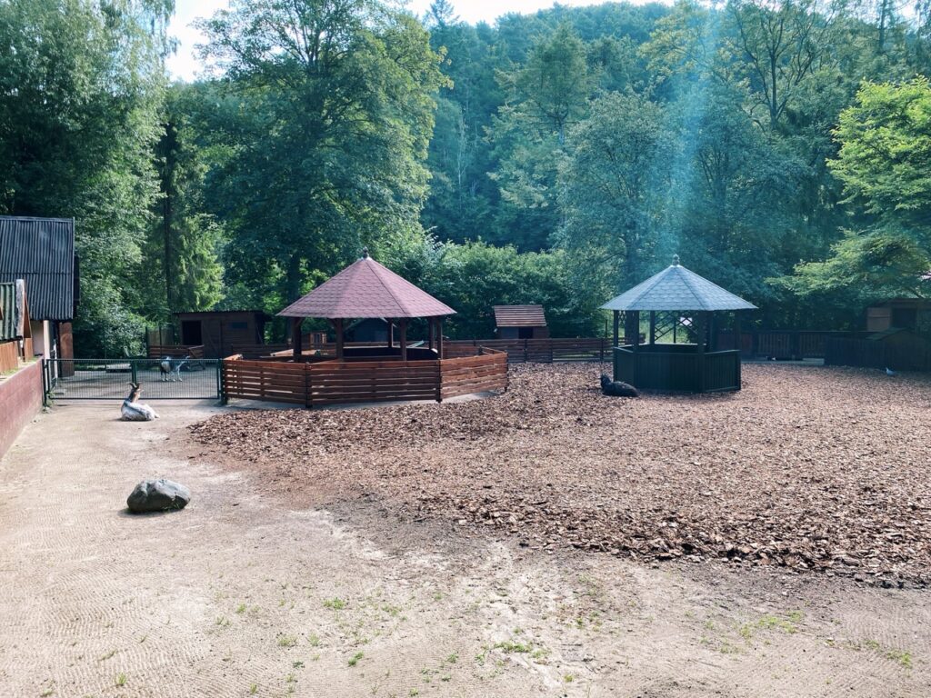 Gdansk poland Zoo