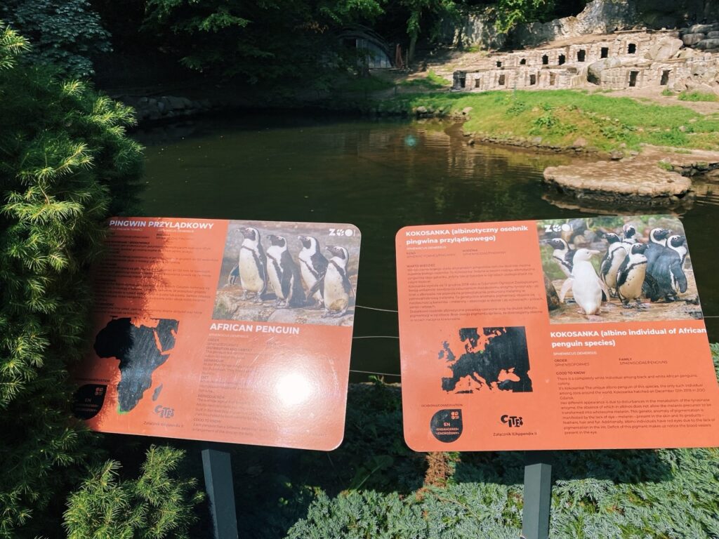 Gdansk poland Zoo