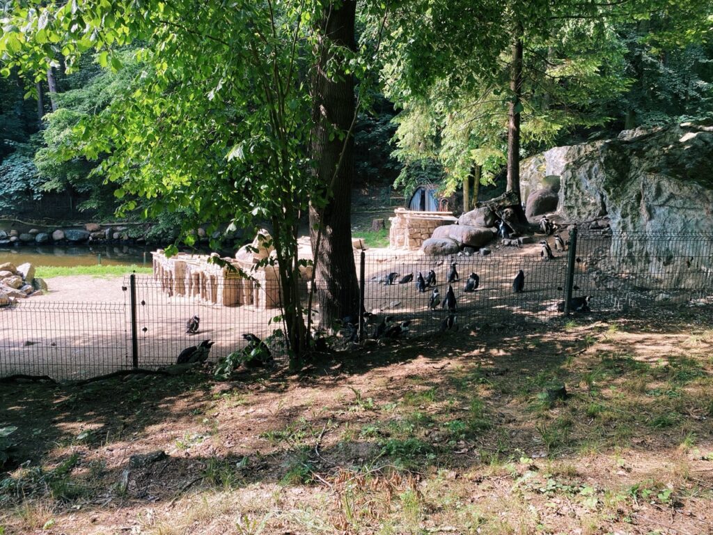 Gdansk poland Zoo