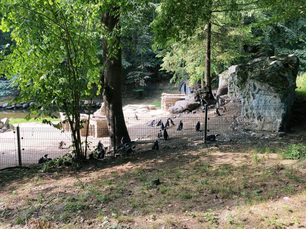 Gdansk poland Zoo