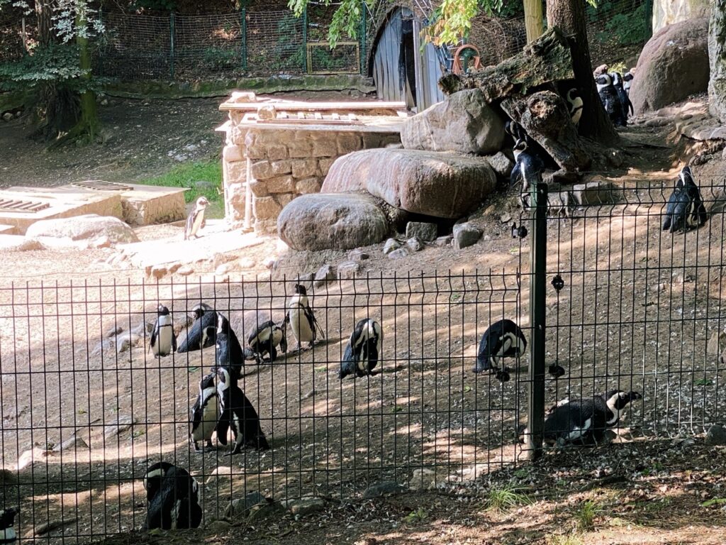 Gdansk poland Zoo