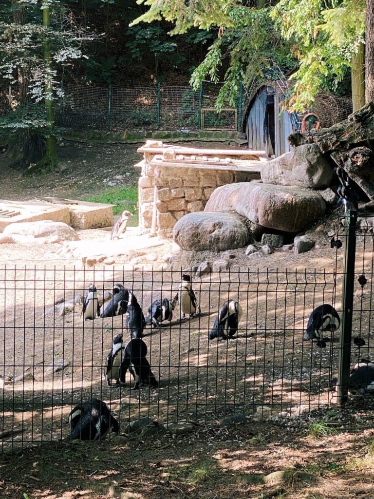 Gdansk poland Zoo