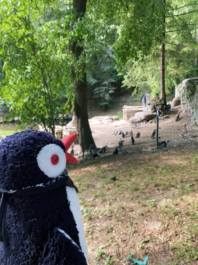 Gdansk poland Zoo