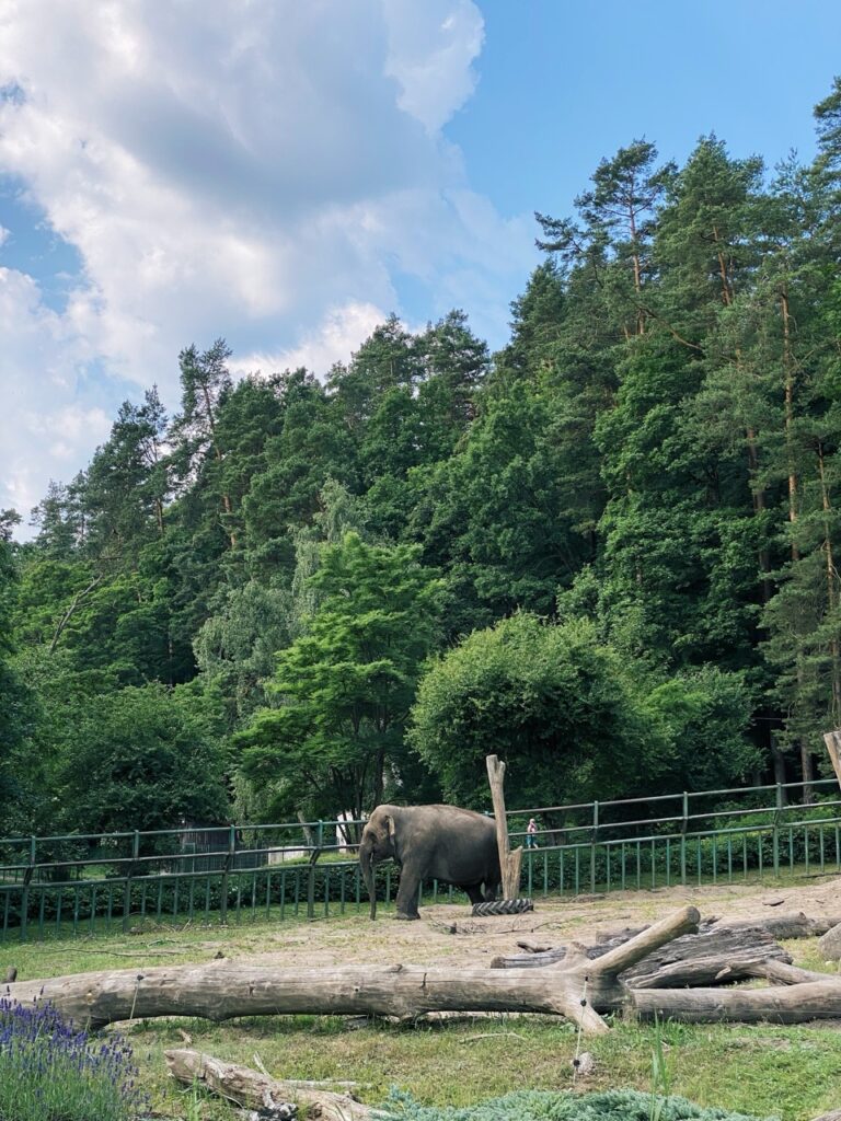 Gdansk poland Zoo