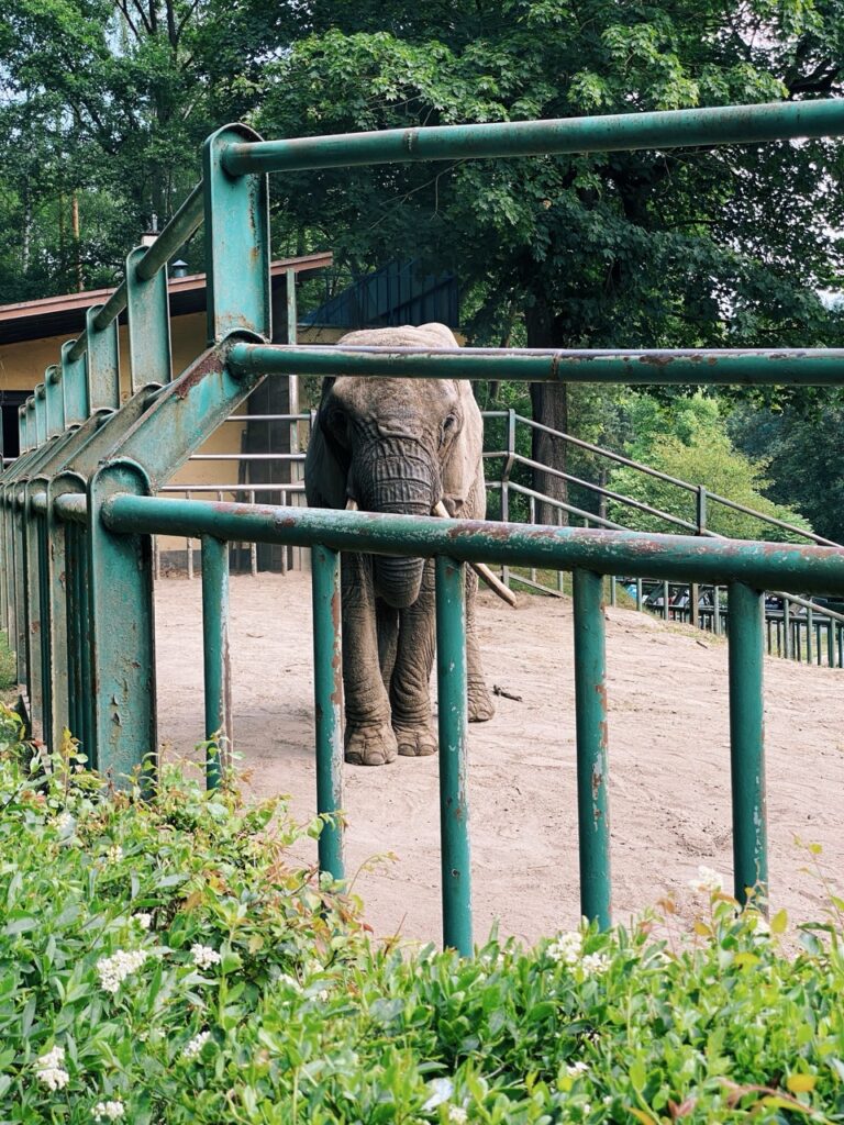 Gdansk poland Zoo