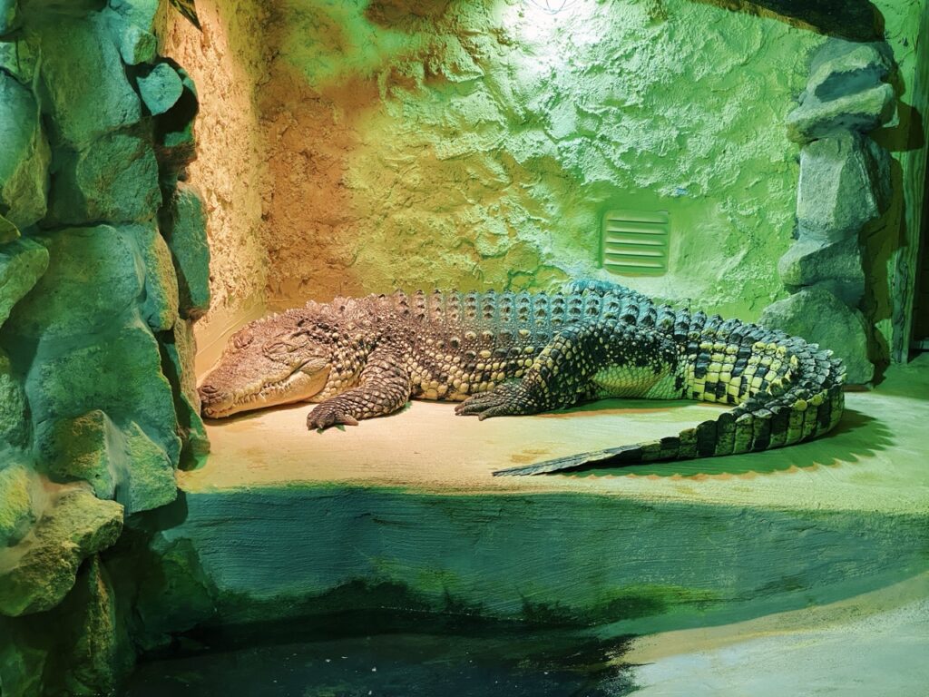 Gdansk poland Zoo