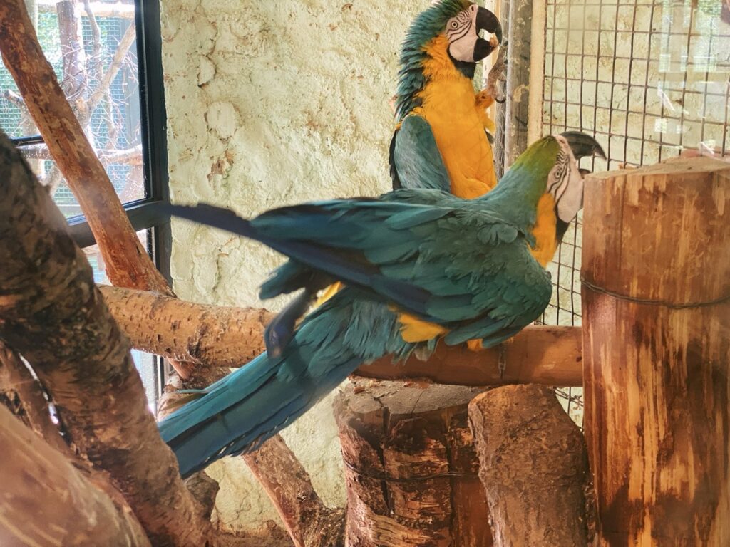 Gdansk poland Zoo
