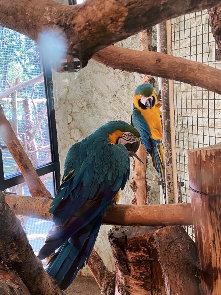 Gdansk poland Zoo