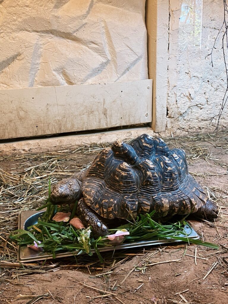 Gdansk poland Zoo