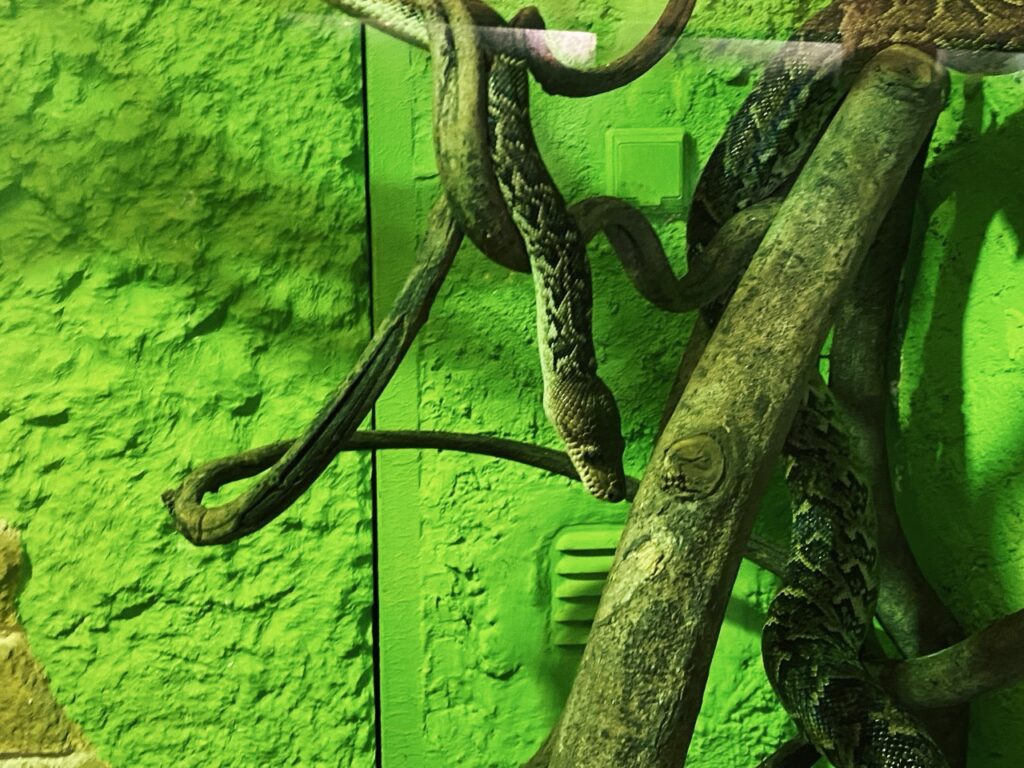 Gdansk poland Zoo