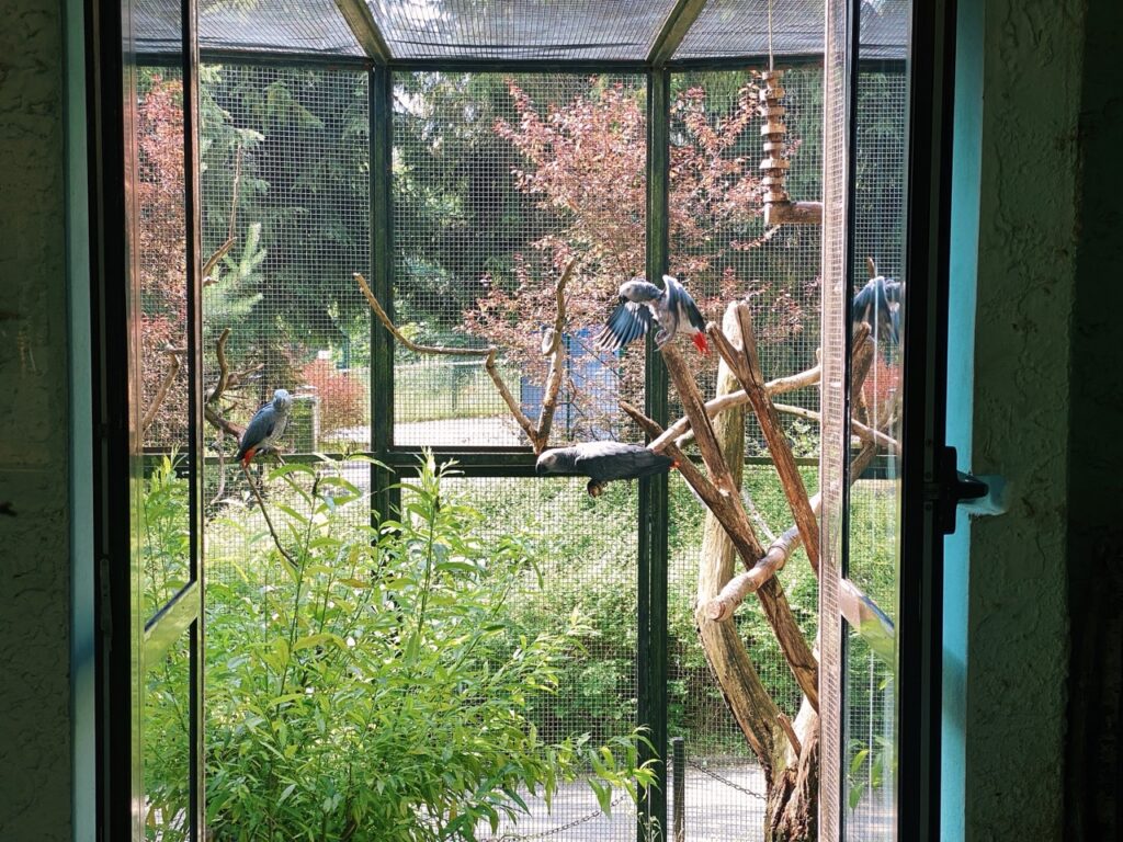 Gdansk poland Zoo